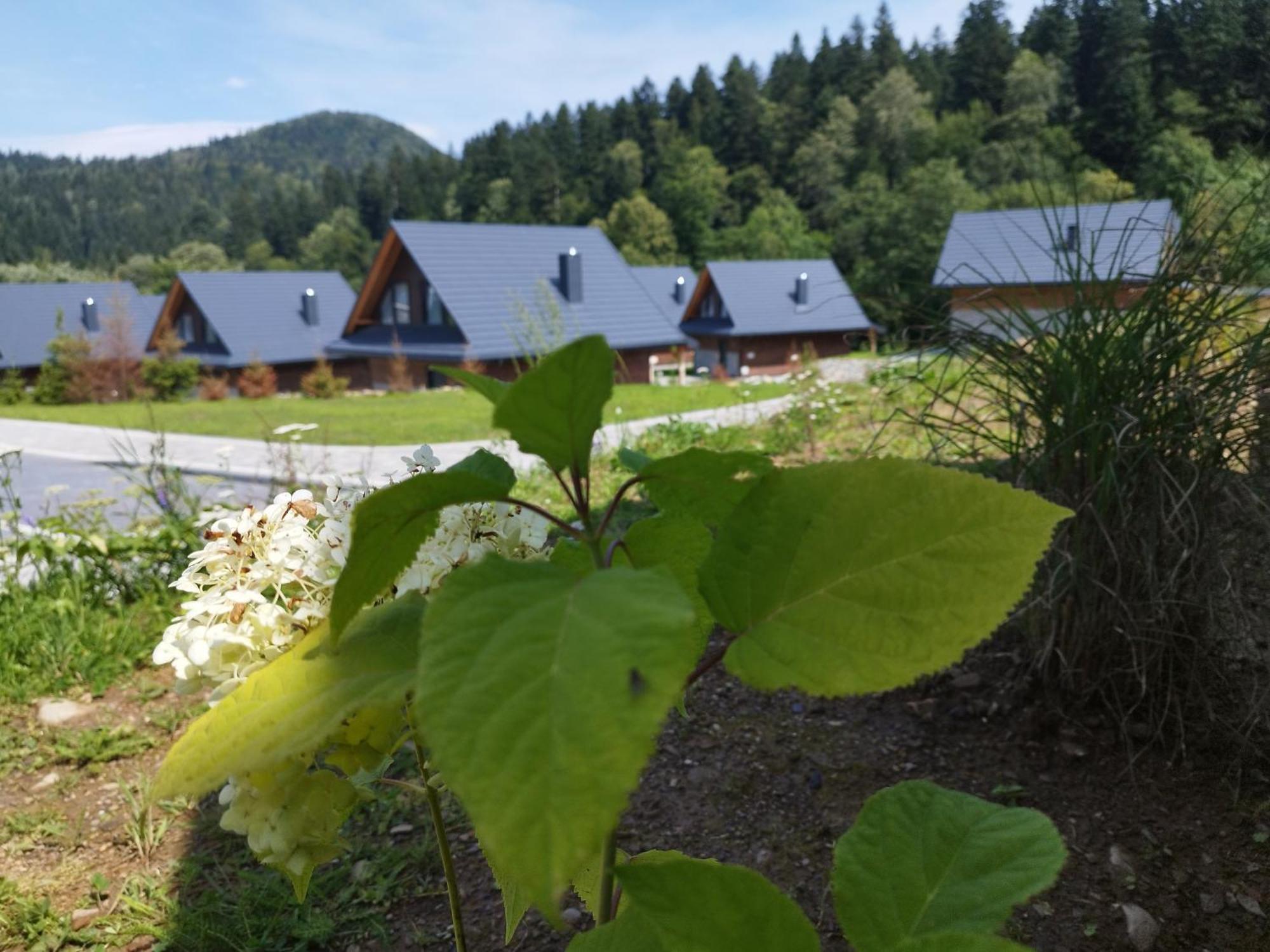 Jablonki Resort&Spa Экстерьер фото